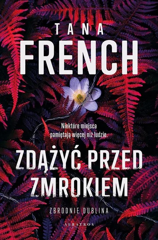 okładka Zdążyć przed zmrokiem książka | Tana French