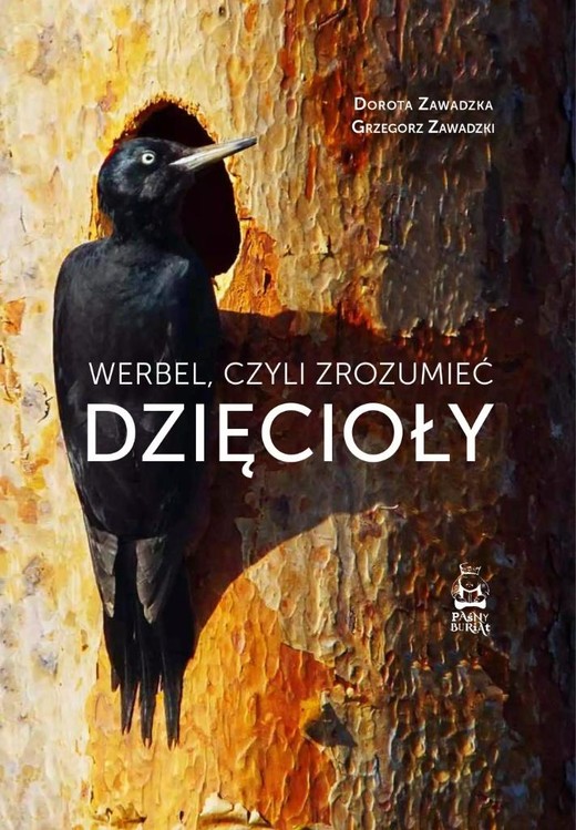 okładka Werbel, czyli zrozumieć dzięcioły książka | Dorota Zawadzka, Grzegorz Zawadzki