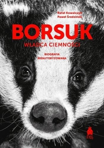okładka Borsuk. Władca ciemności książka | Rafał Kowalczyk, Paweł Średziński