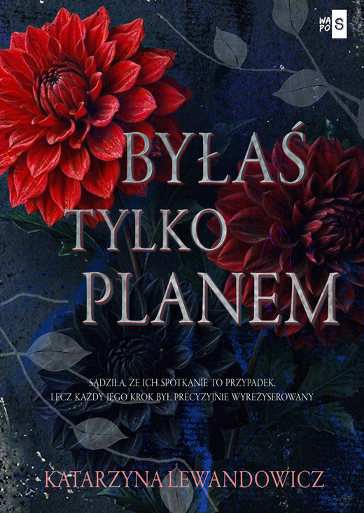 okładka Byłaś tylko planem książka | Katarzyna Lewandowicz