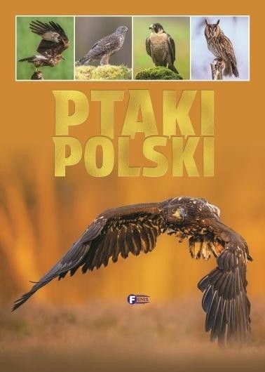 okładka Ptaki Polski książka | Praca Zbiorowa