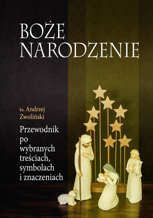 okładka Boże Narodzenie. Przewodnik po wybranych... książka | Andrzej Zwoliński
