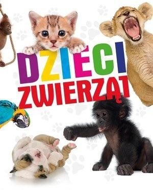 okładka Dzieci zwierząt książka | Praca Zbiorowa