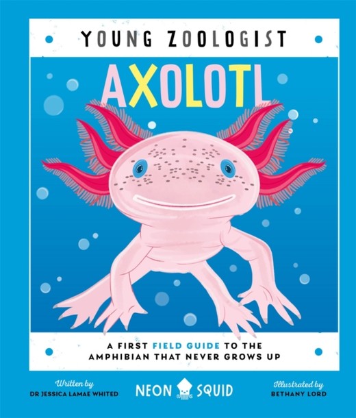 okładka Axolotl. Young Zoologist książka | Jessica L.Whited, Neon Squid