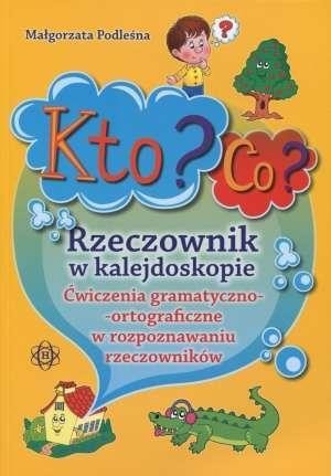 okładka Kto? Co? Rzeczownik w kalejdoskopie książka