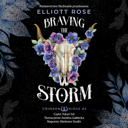 okładka Braving the Storm audiobook | MP3 | Elliott Rose