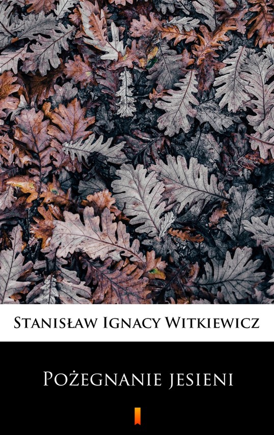 okładka Pożegnanie jesieniebook | epub, mobi | Stanisław Ignacy Witkiewicz (Witkacy)