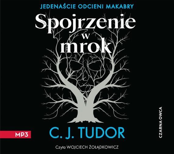 okładka Spojrzenie w mrok audiobook | MP3 | C.J. Tudor