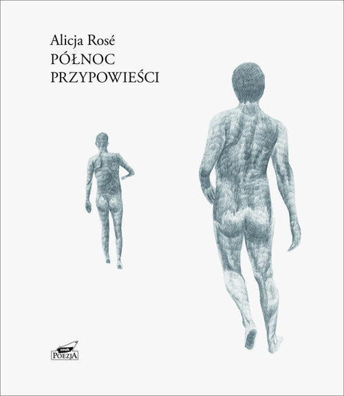 okładka Północ Przypowieści książka | Alicja Rosé