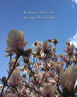 Okładka:Kwiat magnolii 