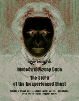 Okładka:Niedoświadczony Duch. The Story of the Inexperienced Ghost 