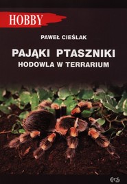 Pająki ptaszniki hodowla w terrarium