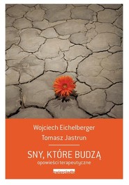 Sny, które budzą Opowieści psychoterapeutyczne