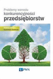 Problemy wzrostu konkurencyjności przedsiębiorstw