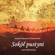 Sokół pustyni