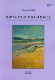 Światło południa
