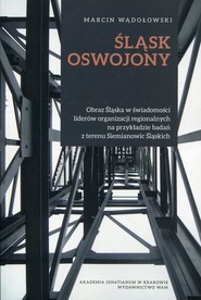 Śląsk oswojony Obraz Śląska w świadomości liderów organizacji regionalnych na przykładzie badań z terenu Siemianowic Śląskich