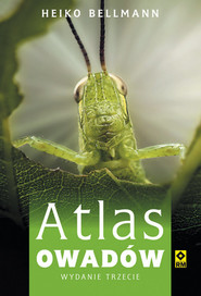 Atlas owadów