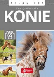 Konie Atlas ras