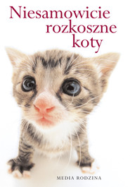 Niesamowicie rozkoszne koty