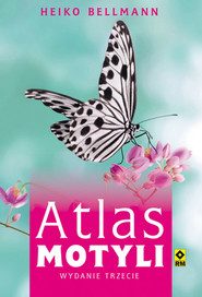 Atlas motyli