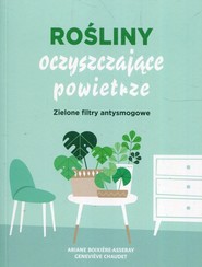 Rośliny oczyszczające powietrze Zielone filtry antysmogowe