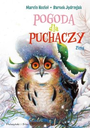 Pogoda dla puchaczy Zima