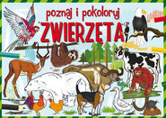 Poznaj i pokoloruj zwierzęta
