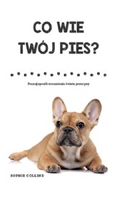 Co wie Twój pies? Poznaj sposób rozumienia świata przez psa
