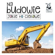 Kapitan Nauka Jakie to ciekawe Na budowie