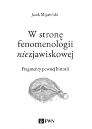 W stronę fenomenologii niezjawiskowej Fragmenty pewnej historii