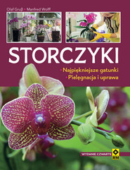 Storczyki Najpiękniejsze gatunki Pielęgnacja i uprawa