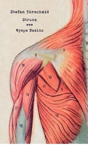 Struna/ Wyspa Nazino