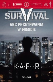 Survival ABC przetrwania w mieście