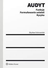 Audyt  Funkcje. Formułowanie ustaleń. Ryzyka (pdf)