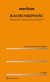 MERITUM Rachunkowość. Rachunkowość i sprawozdawczość finansowa (pdf)