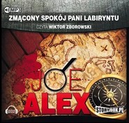Zmącony spokój Pani Labiryntu