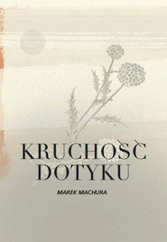 Kruchość dotyku