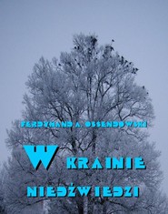 W krainie niedźwiedzi