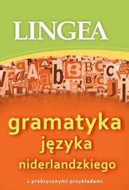 Gramatyka języka niderlandzkiego z praktycznymi przykładami