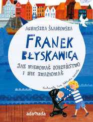 Franek Błyskawica. Jak wychować rodzeństwo i nie zwariować