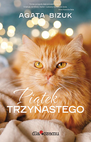 Piątek 13 / Dlaczemu