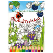 Biedronka