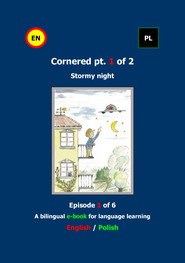 Cornered Osaczony Stormy night 1