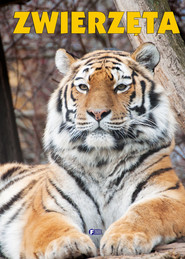 ZWIERZĘTA TW