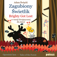 Zagubiony Świetlik. Brightly Got Lost w wersji dwujęzycznej dla dzieci