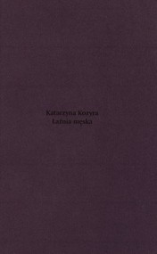 Katarzyna Kozyra Łaźnia męska