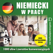 Niemiecki w pracy A1-B1