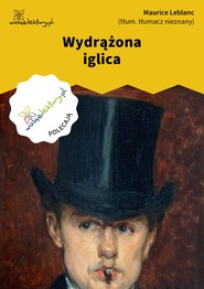 Wydrążona iglica