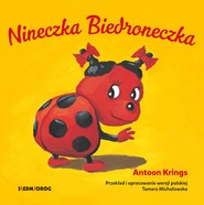 Nineczka biedroneczka słodkie małe zwierzątka